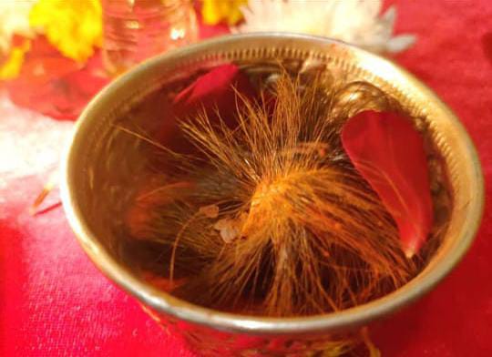 Siyarsinghi