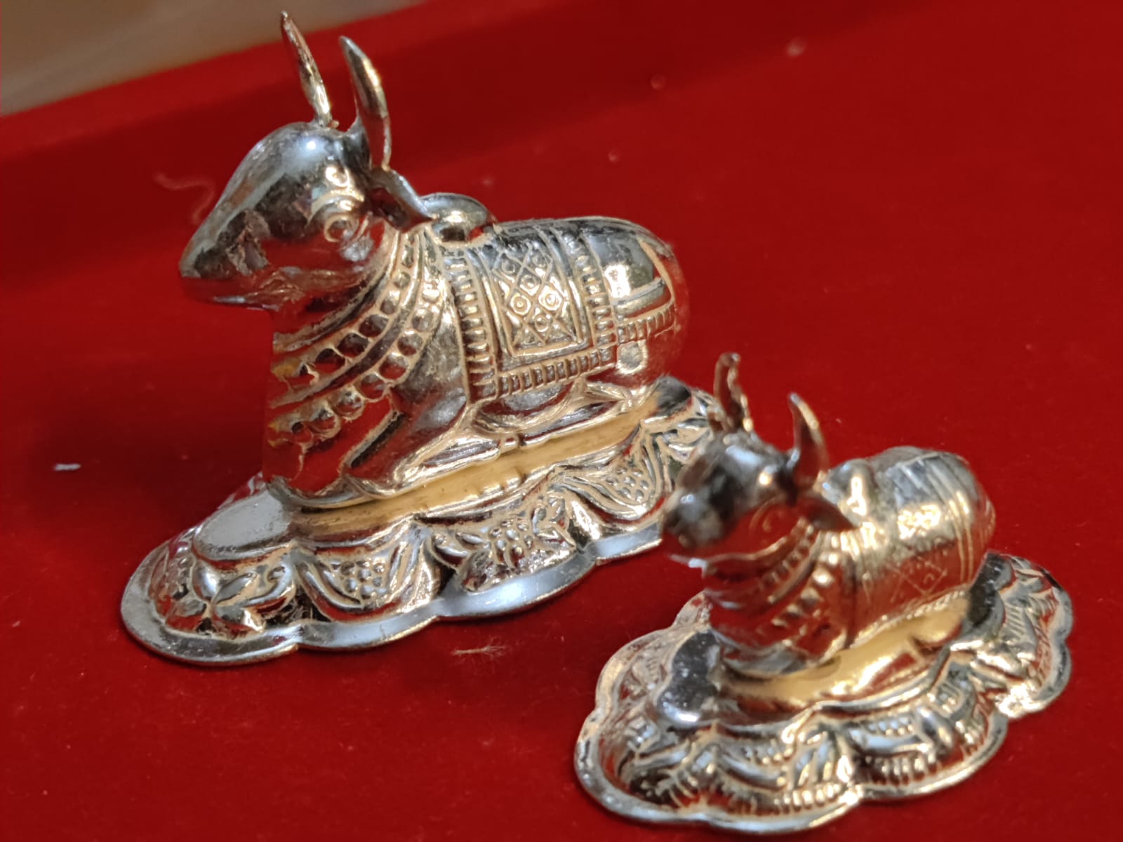 Chandi Nandi Ji (99% Pure Malaysian Silver | Energised)
