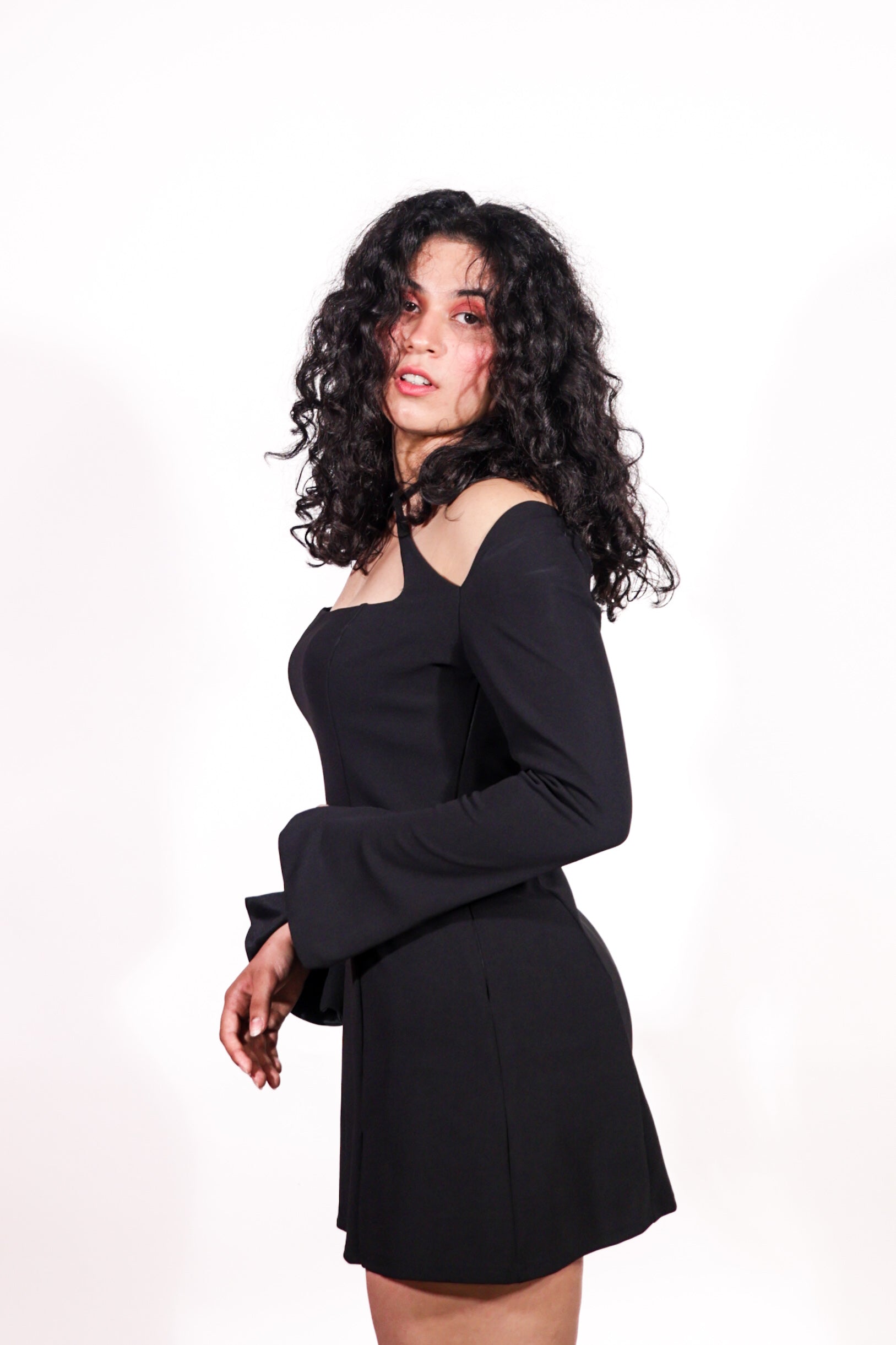 ELENA
