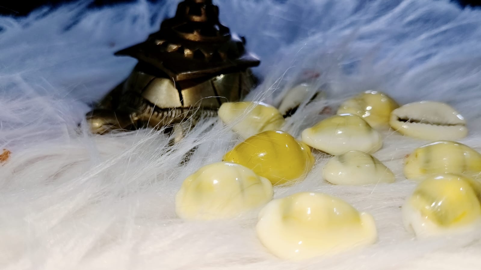 Yellow Lakshmi Kaudi (Mahalakshmi Cowries) – Set of 11