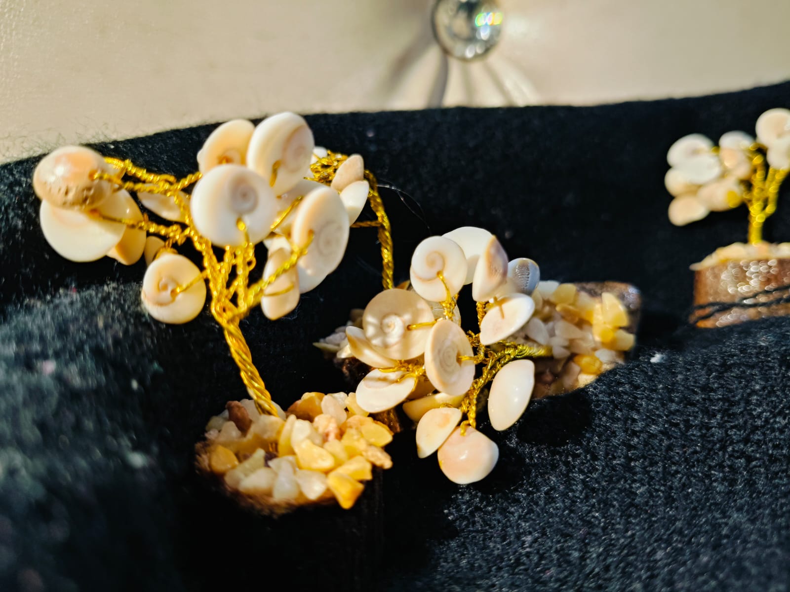 Gomti Chakra ka Ped – The Tree of Prosperity