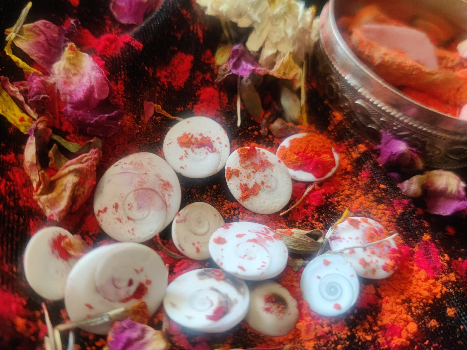 Gomti Chakra – Abhimantrit Magic 11 pieces Set