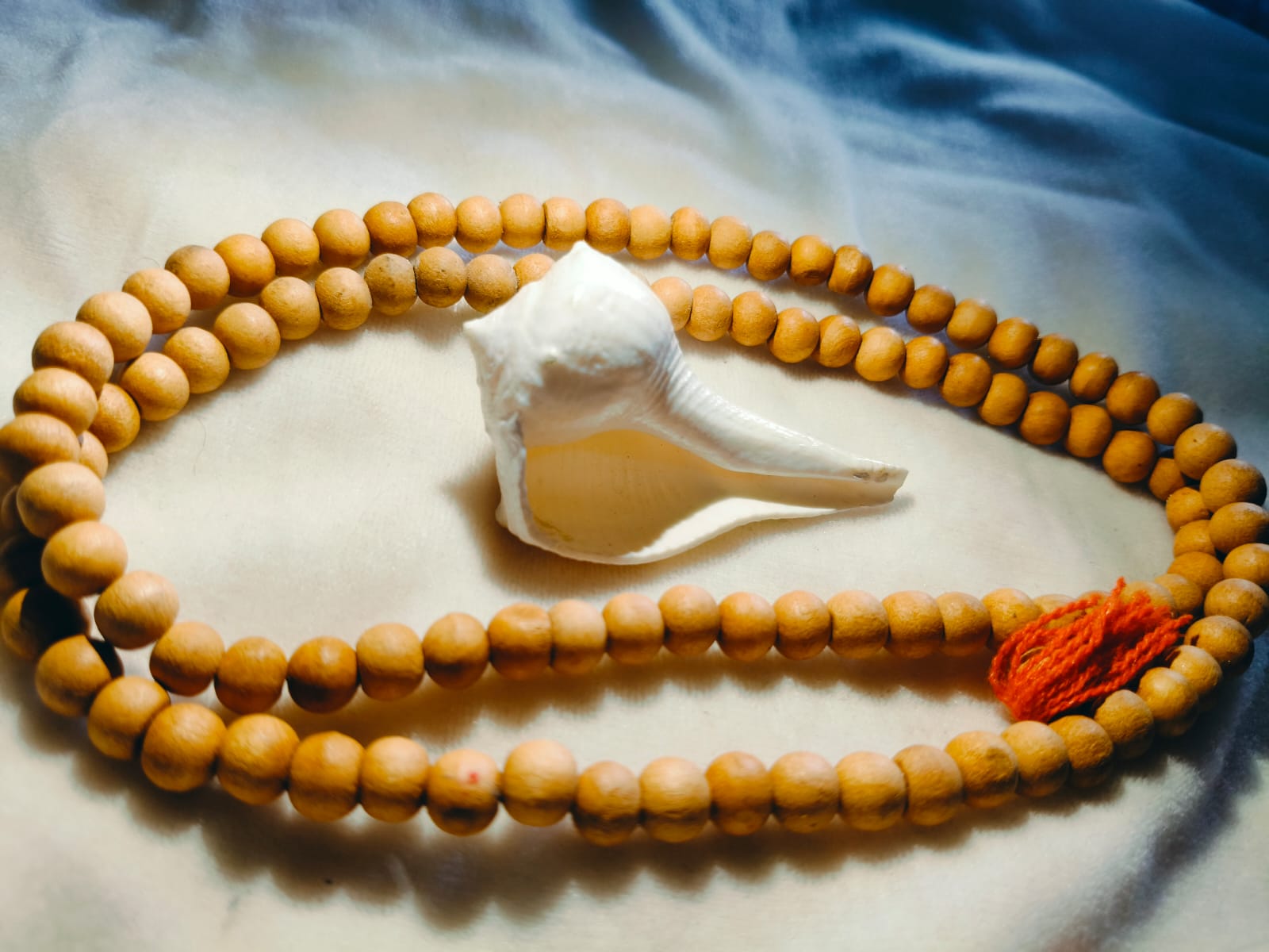 Dakshinavarti shankh + Chandan mala combo